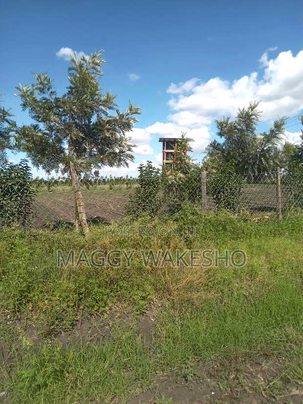 Plots for Sale in Kitengela Kisaju Next to Mua University