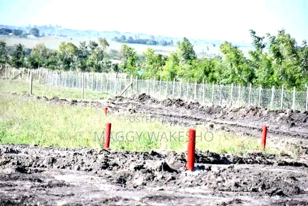 Plots for Sale in Kitengela Kisaju Next to Mua University