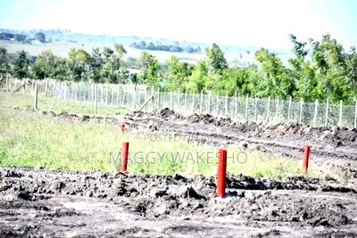 Plots for Sale in Kitengela Kisaju Next to Mua University - Image 1