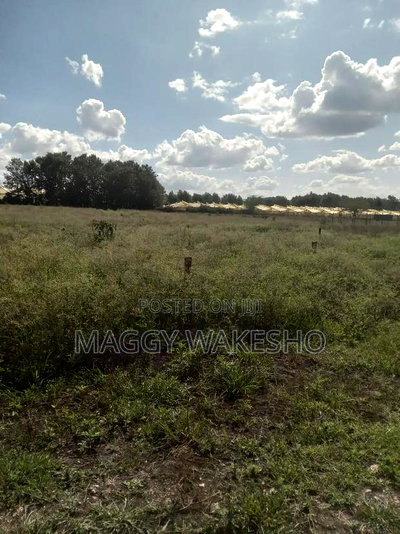 Plots for Sale in Kitengela Kisaju Next to Mua University - Image 7