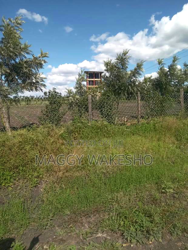 Plots for Sale in Kitengela Kisaju Next to Mua University