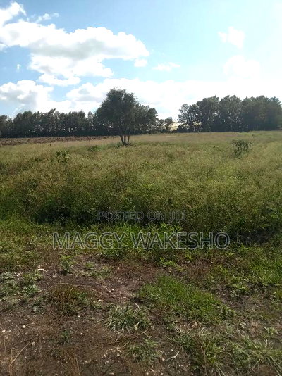 Plots for Sale in Kitengela Kisaju Next to Mua University - Image 8