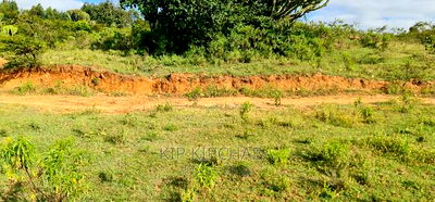 30 Acres Land for Sale in Moiben Rayfarm in Eldoret - Image 3