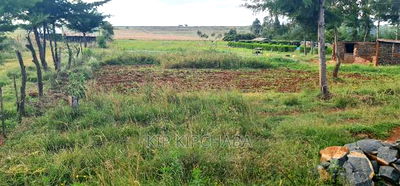 30 Acres Land for Sale in Moiben Rayfarm in Eldoret - Image 1