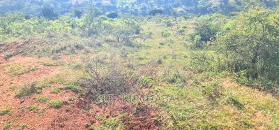 30 Acres Land for Sale in Moiben Rayfarm in Eldoret - Image 2
