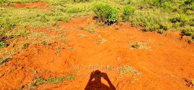 30 Acres Land for Sale in Moiben Rayfarm in Eldoret - Image 5