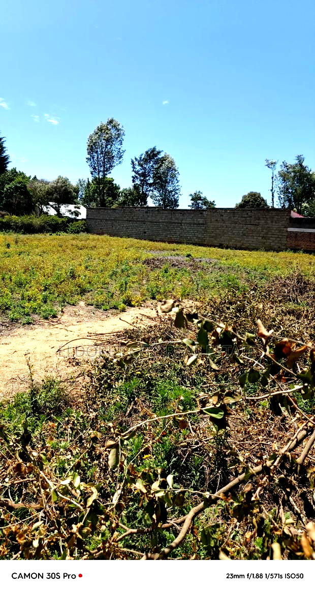 1/4 Kimumu Betterfarm With Title Ideal for Rental