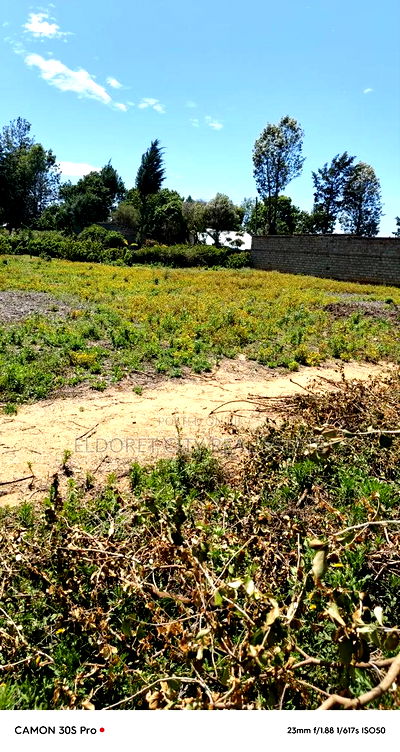 1/4 Kimumu Betterfarm With Title Ideal for Rental - Image 2