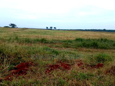 60 Acres Neighbouring Kiora Estate, Kiambu County - Image 4