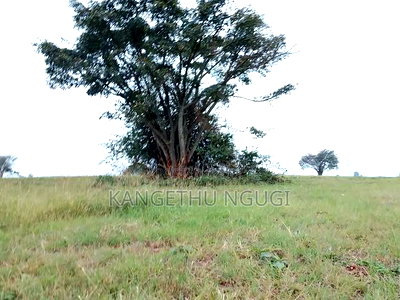 60 Acres Neighbouring Kiora Estate, Kiambu County - Image 7