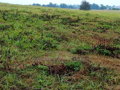 60 Acres Neighbouring Kiora Estate, Kiambu County - Image 6