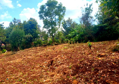 3/4 Acre Plot in Thindigua, Kiambu