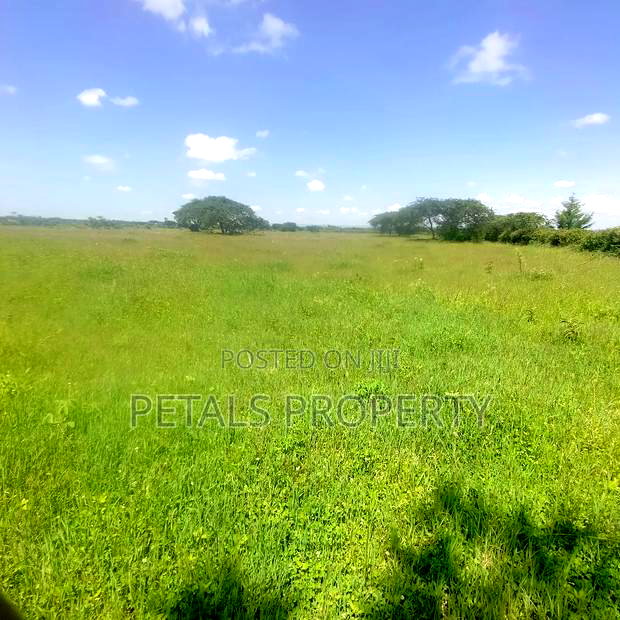 Prime 8 Acres for Sale at Kabarak Gichuru