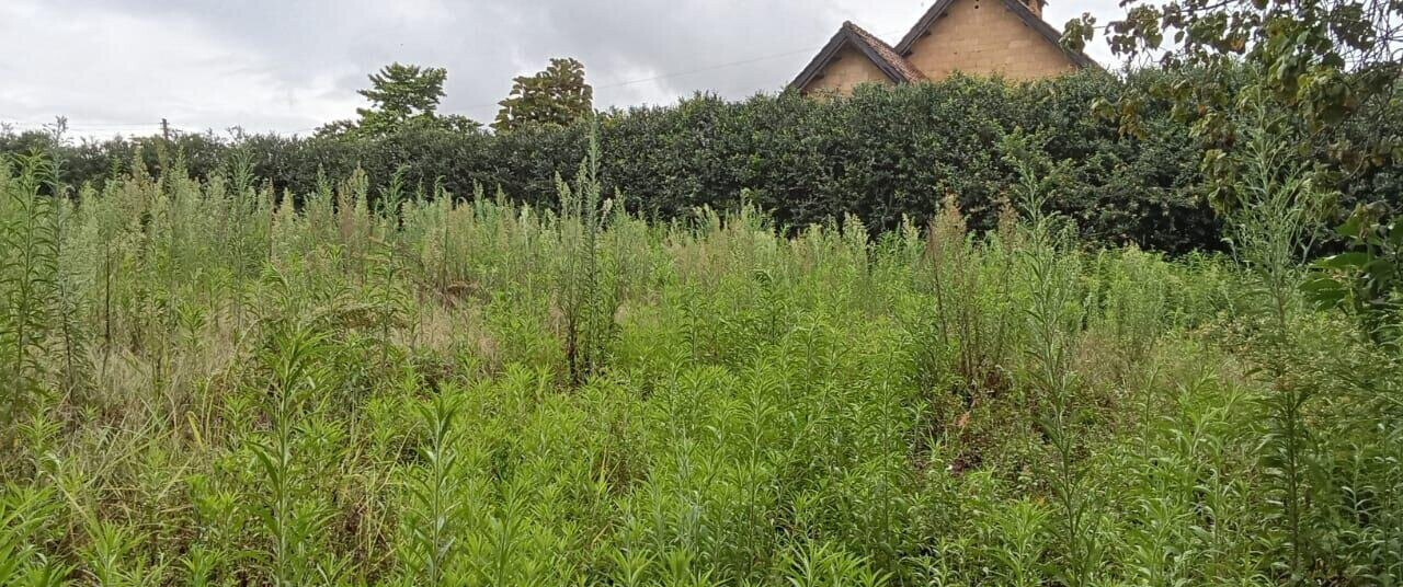 2-Acre Runda Plot with Garden