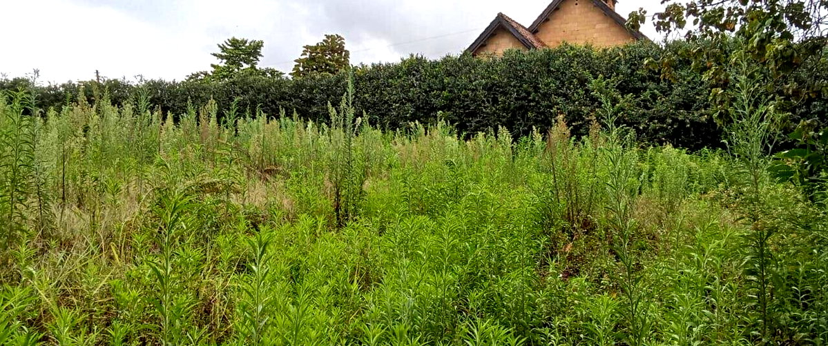 2-Acre Runda Plot with Garden