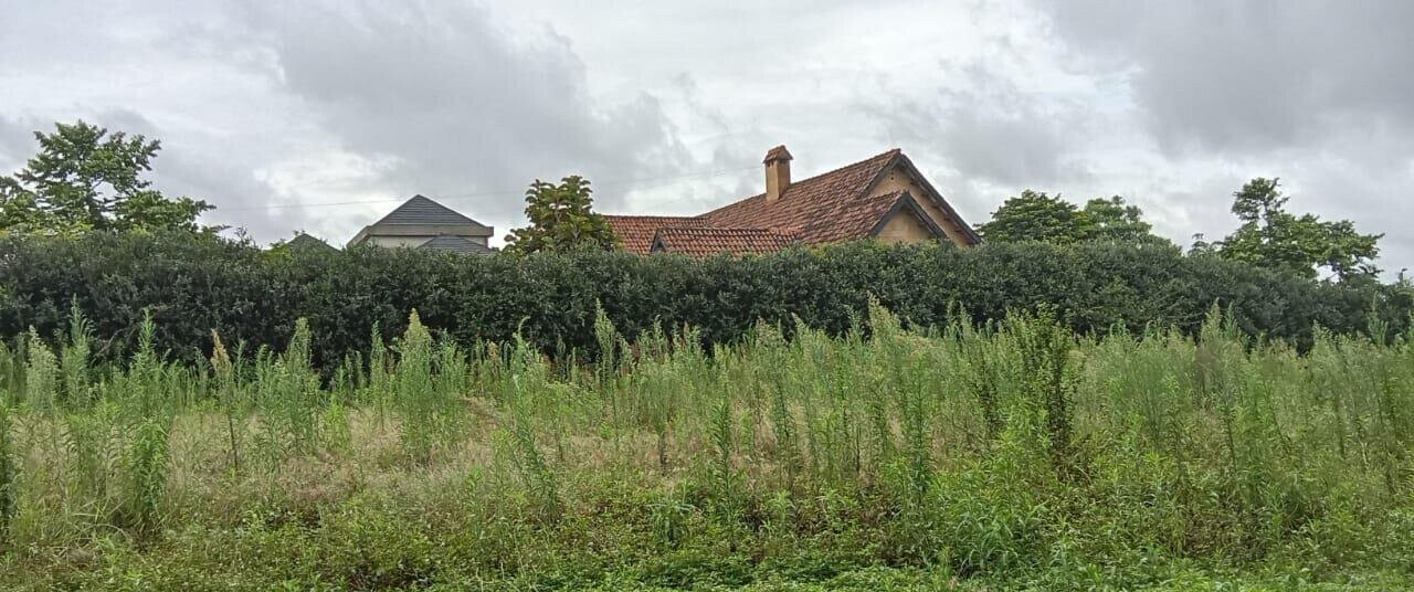 2-Acre Runda Plot with Garden