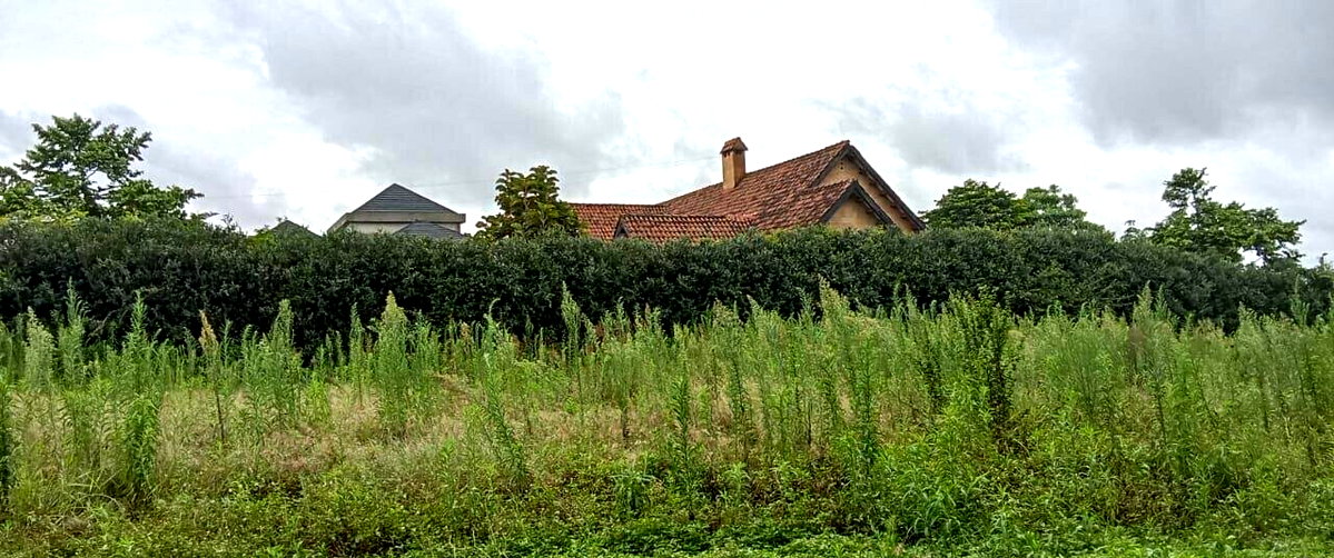 2-Acre Runda Plot with Garden