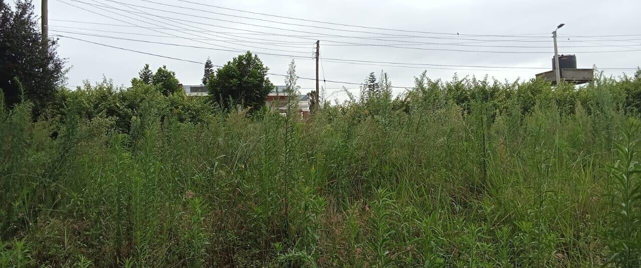 2-Acre Runda Plot with Garden
