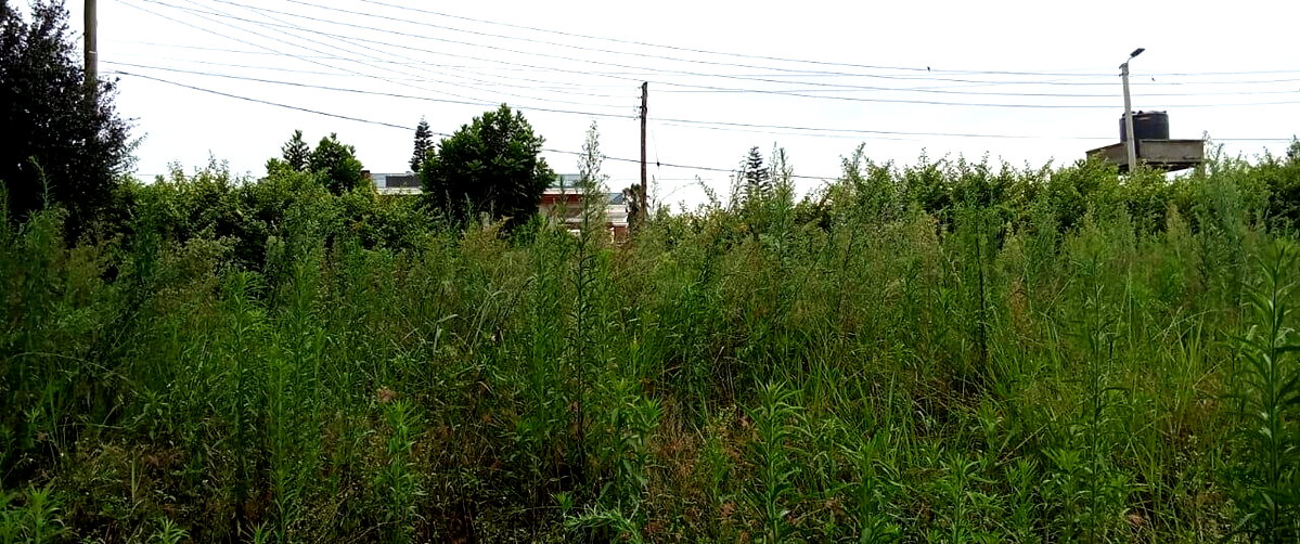 2-Acre Runda Plot with Garden