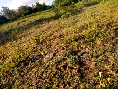 Quarter Acre Plot in Ngong, Olkeri 100 Meters From Tarmac - Image 3