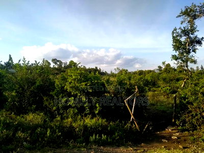 Quarter Acre Plot in Ngong, Olkeri 100 Meters From Tarmac - Image 2