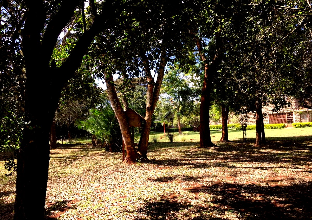 1 Acre Karen Plot with Garden
