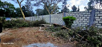 1/2 Acre for Sale in Elgonview Eldoret With Perimetre Wall - Image 9