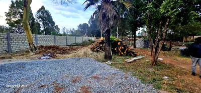 1/2 Acre for Sale in Elgonview Eldoret With Perimetre Wall - Image 5