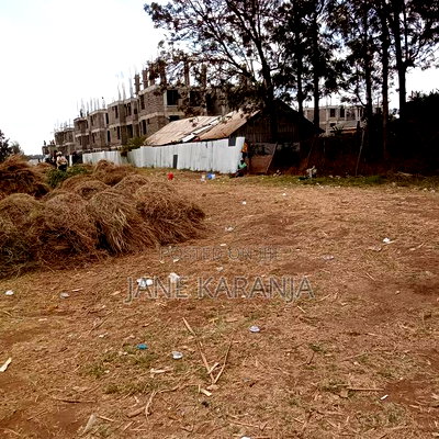 2.7 Acres for Sale at Kabati - Image 3