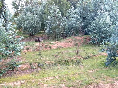 Decent Properties in Nyandarua (50x100) - Image 2