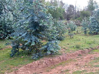 Decent Properties in Nyandarua (50x100) - Image 3