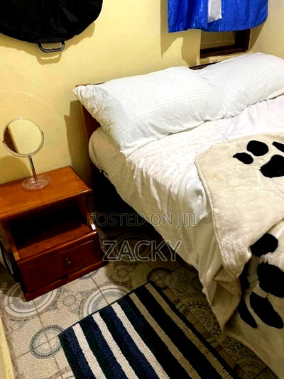 Furnished Studio Apartment in Posta, Adams Arcade, Jamhuri Estate - Image 3