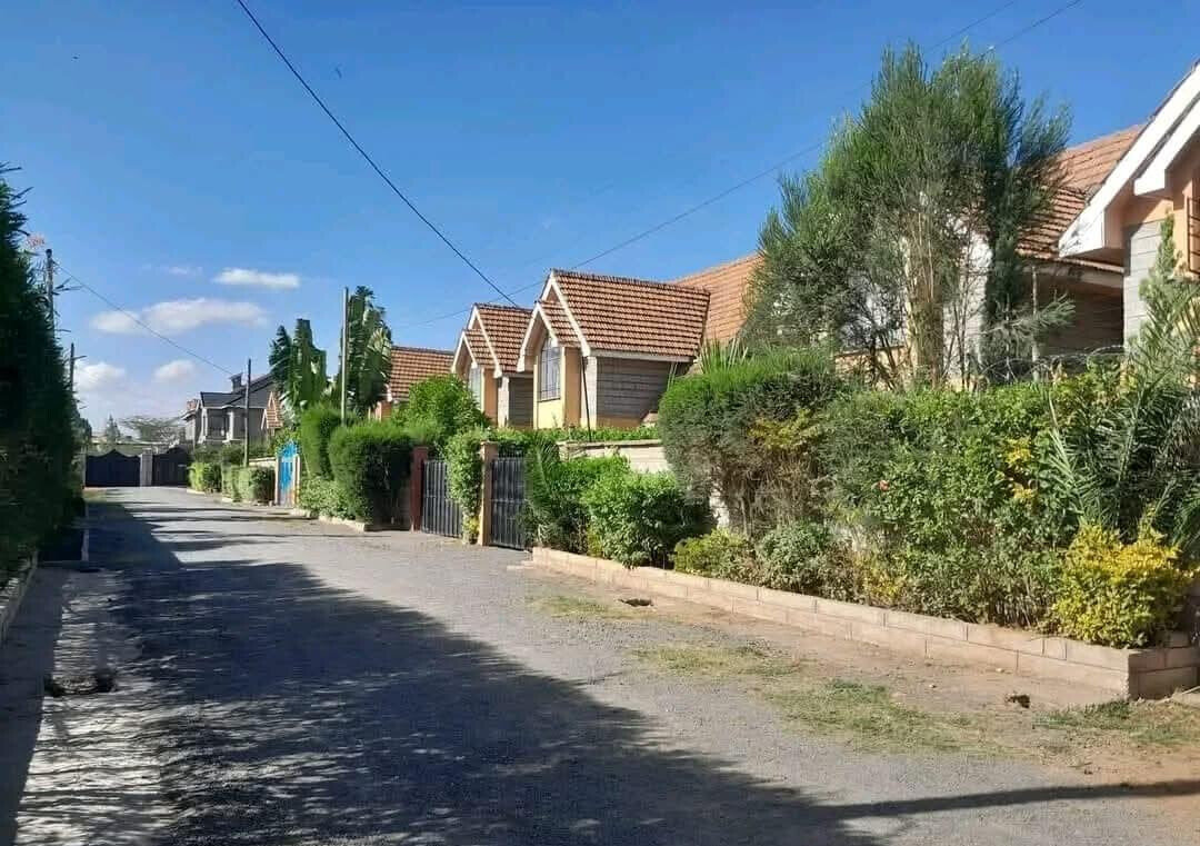 4 En-Suite Villa with Stream & Lush Gardens - Syokimau