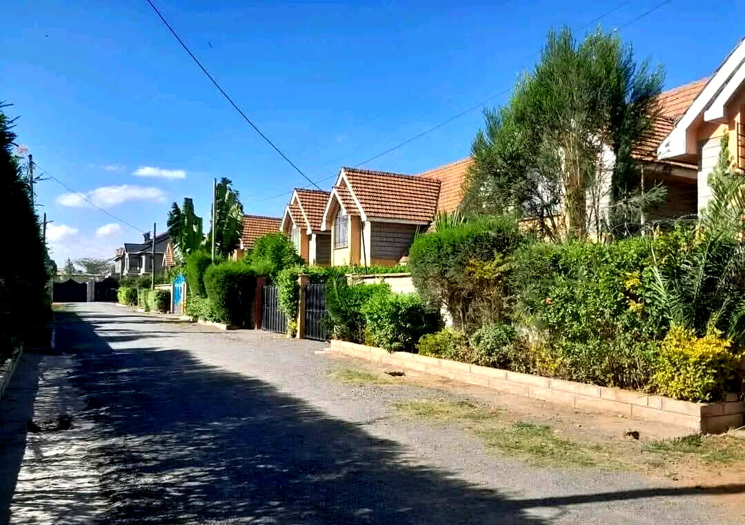 4 En-Suite Villa with Stream & Lush Gardens - Syokimau
