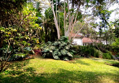 Muthaiga 3BR Cottage with Garden