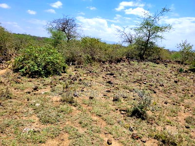 Acre Plots For Sale - Image 1