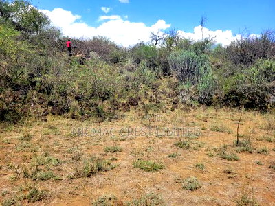 Acre Plots For Sale - Image 2