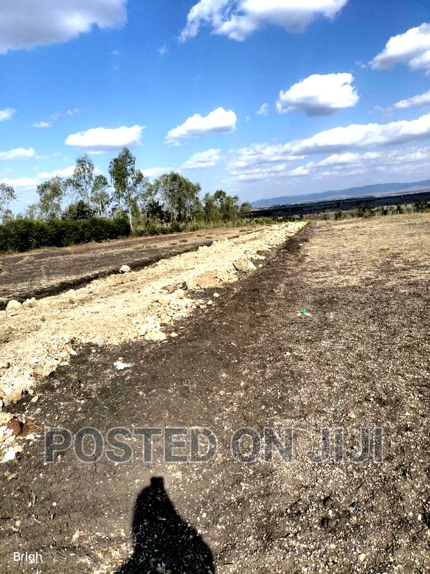 Best Land Deal in Kamulu