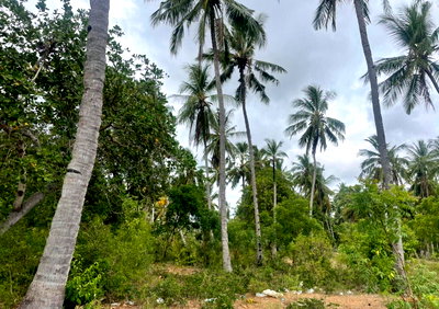1-Acre Plot in Watamu for KSh 12M