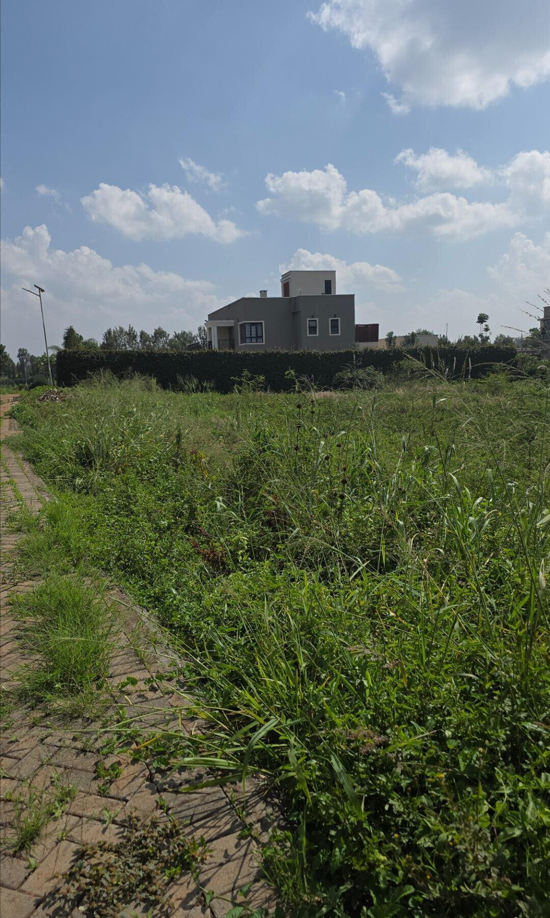 Quarter Acre Plot with Garden and Parking at KSh 12M