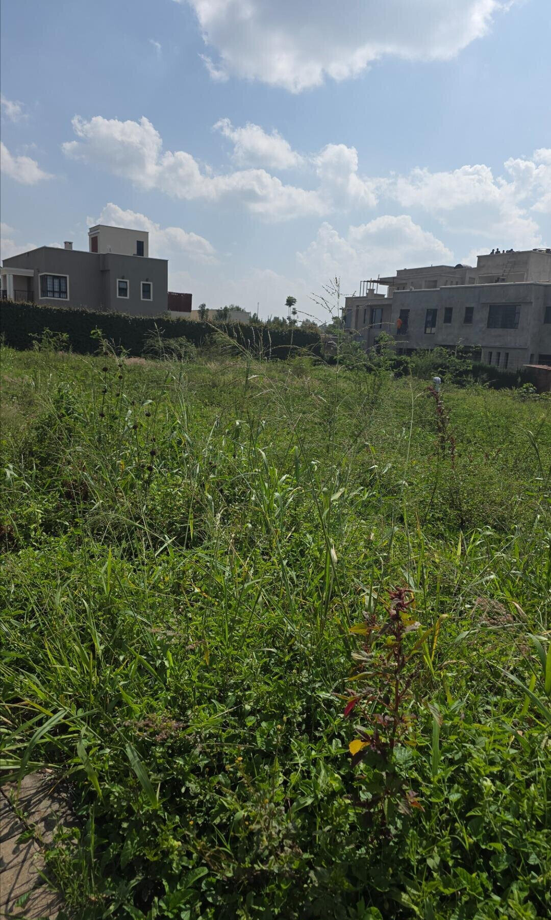 Quarter Acre Plot with Garden and Parking at KSh 12M