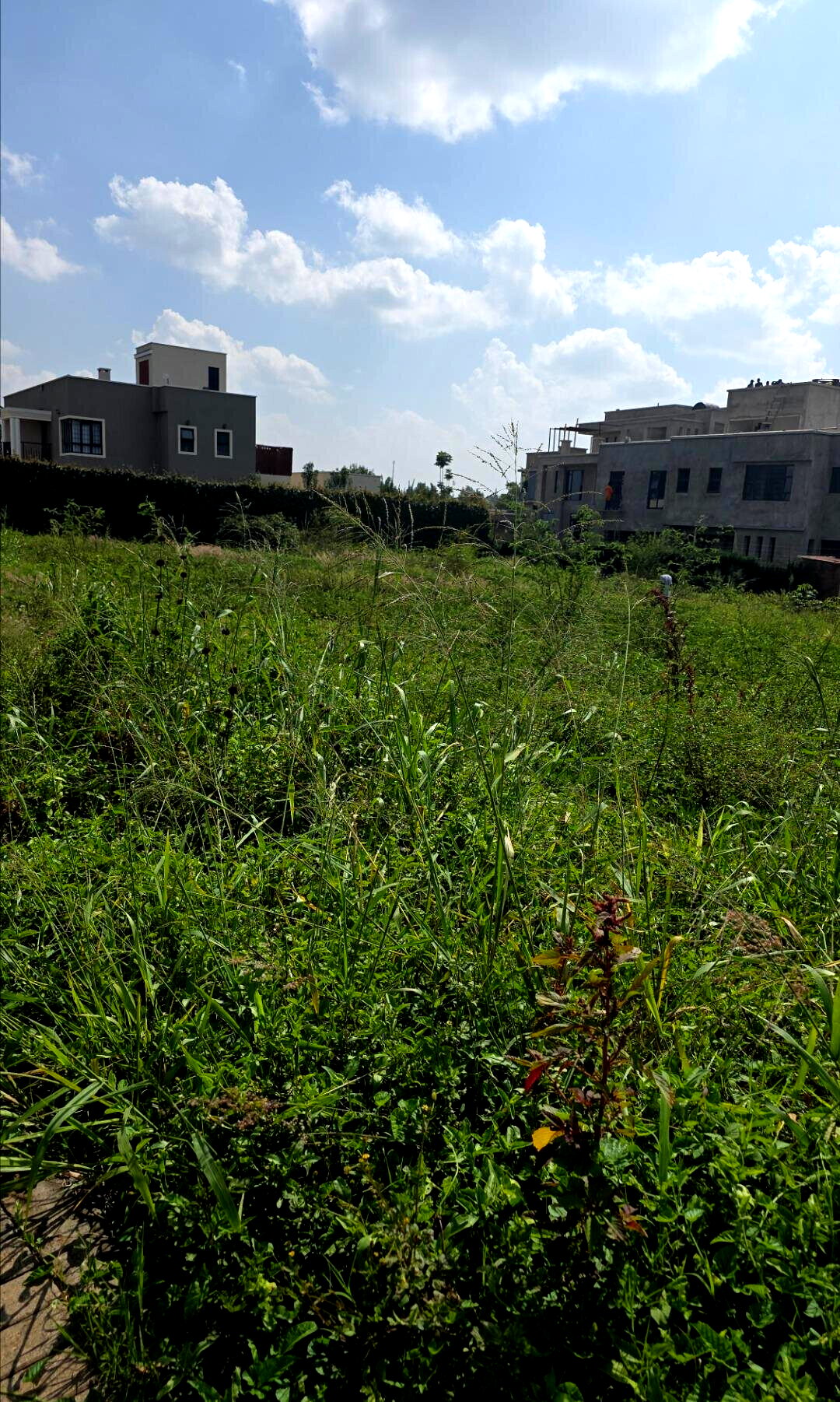 Quarter Acre Plot with Garden and Parking at KSh 12M