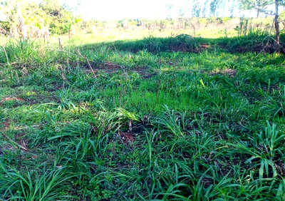 KSh 27M Garden Plot with Parking