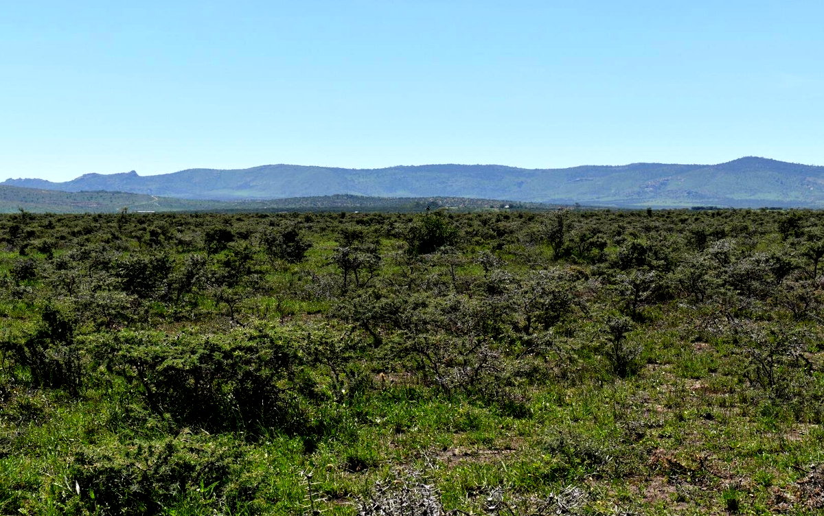 5-Acre Garden Plot with Parking at KSh 10.5M