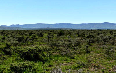 5-Acre Garden Plot with Parking at KSh 10.5M