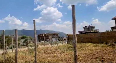 Prime Land - Image 5