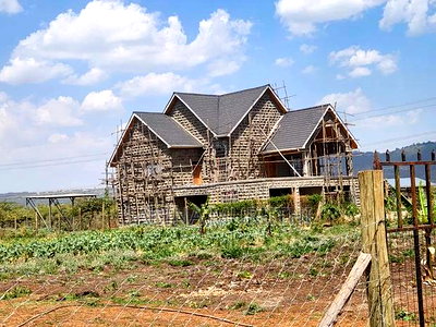 Prime Land - Image 4