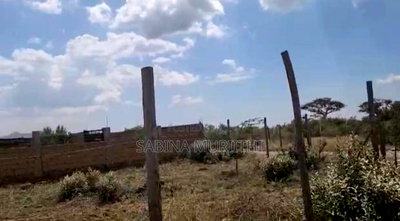 Prime Land - Image 2