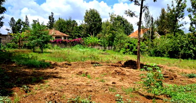 1/2 Acre Garden Plot with Parking - Thome