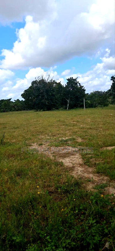 For Sale 1.1acre Land Dongo Kundu Bypass - Image 6